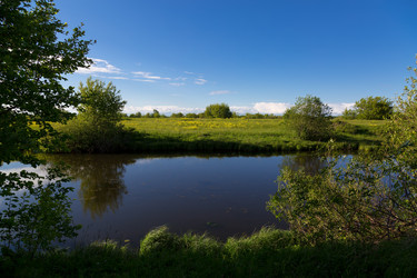 Similar image 21672541