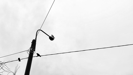 Similar image 21674573