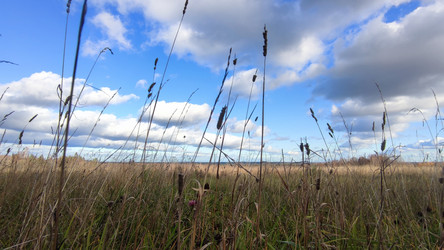 Similar image 21674574