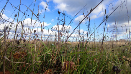 Similar image 21674578