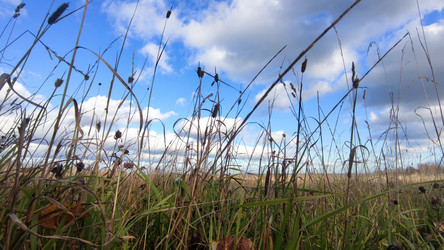 Similar image 21674582