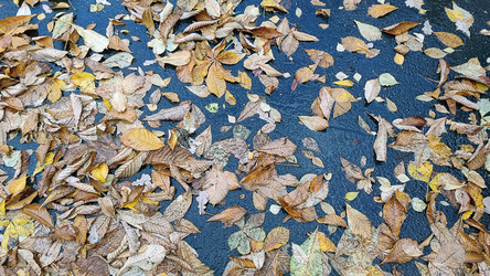 Similar image 21674591