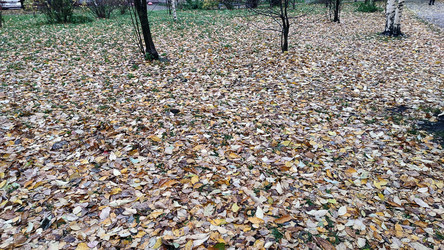 Similar image 21674593