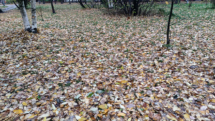 Similar image 21674594