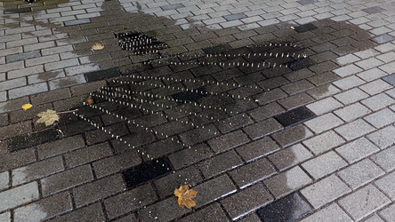 Similar image 21674607