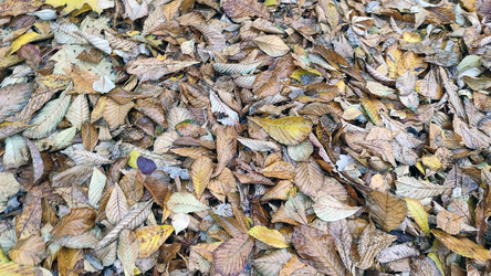 Similar image 21674610