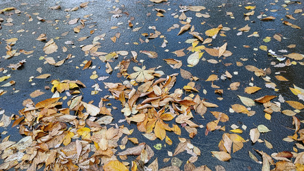 Similar image 21674612