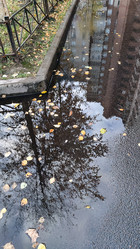 Similar image 21674613