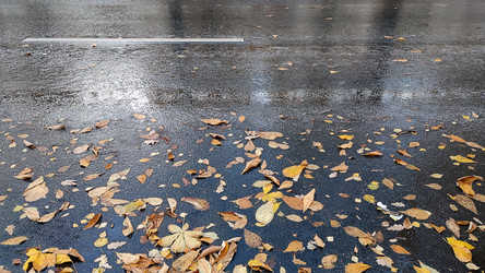 Similar image 21674851