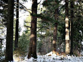 Similar image 21673273