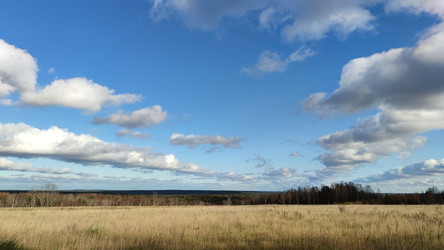 Similar image 21674628