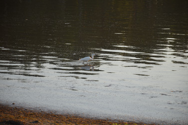 Similar image 21672862