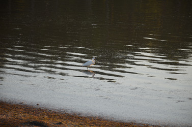 Similar image 21672863