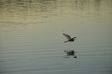 Similar image 21672864