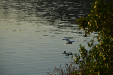 Similar image 21672866