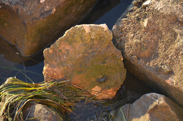 Similar image 21672867