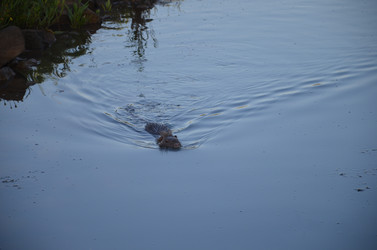 Similar image 21672868