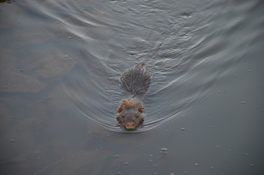 Similar image 21672869