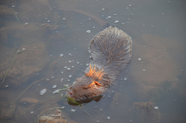 Similar image 21672870