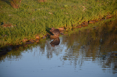 Similar image 21672872