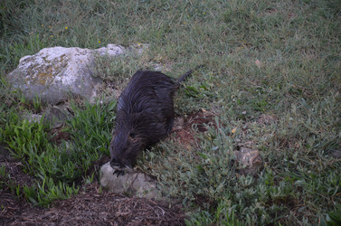 Similar image 21672873