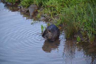 Similar image 21672875