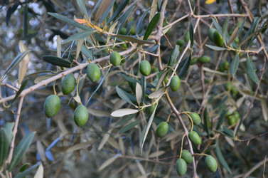 Similar image 21672878