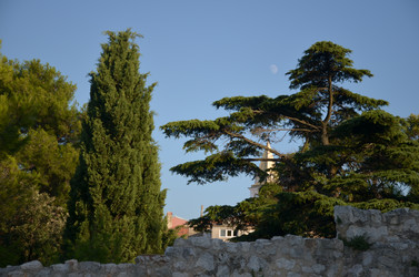 Similar image 21672883