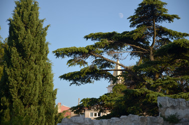 Similar image 21672884