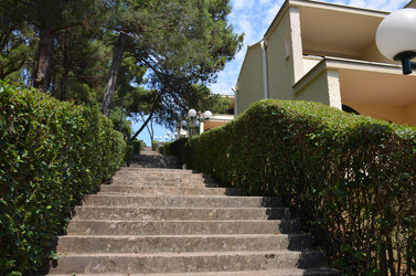 Similar image 21672890