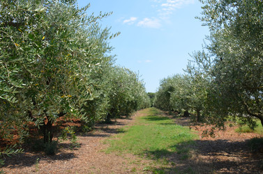 Similar image 21672891