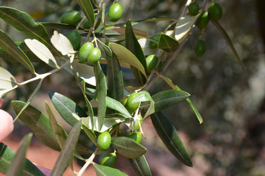 Similar image 21672892