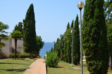 Similar image 21672893