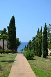 Similar image 21672904