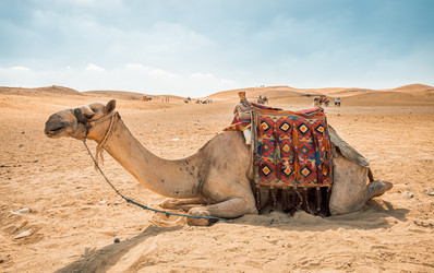 Similar image 21672542