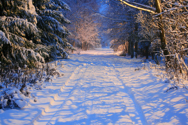 Similar image 21672549