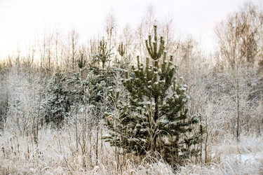 Similar image 21672553