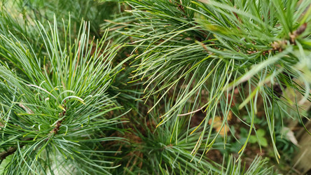 Similar image 21674648