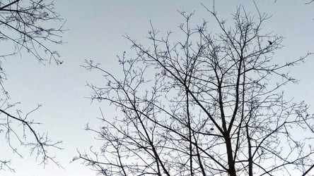 Similar image 21674649