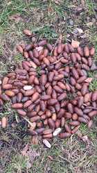 Similar image 21674650