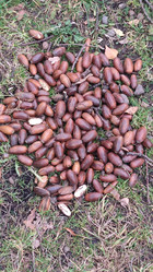 Similar image 21674651