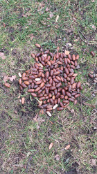 Similar image 21674652