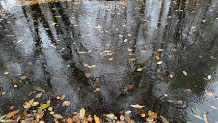 Similar image 21674653