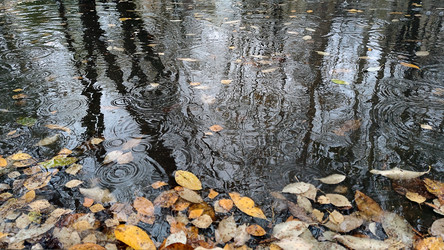 Similar image 21674654