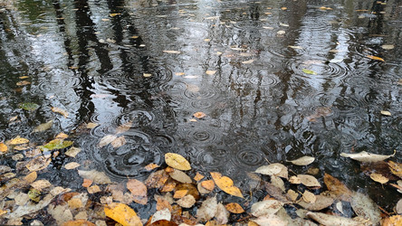 Similar image 21674655