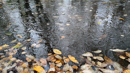 Similar image 21674656