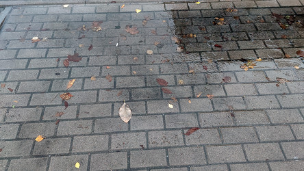 Similar image 21674658