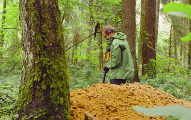 Similar image 21672567