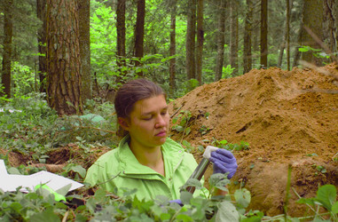 Similar image 21672571