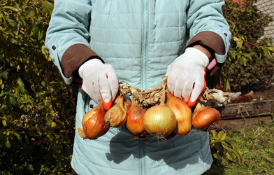 Similar image 21672526